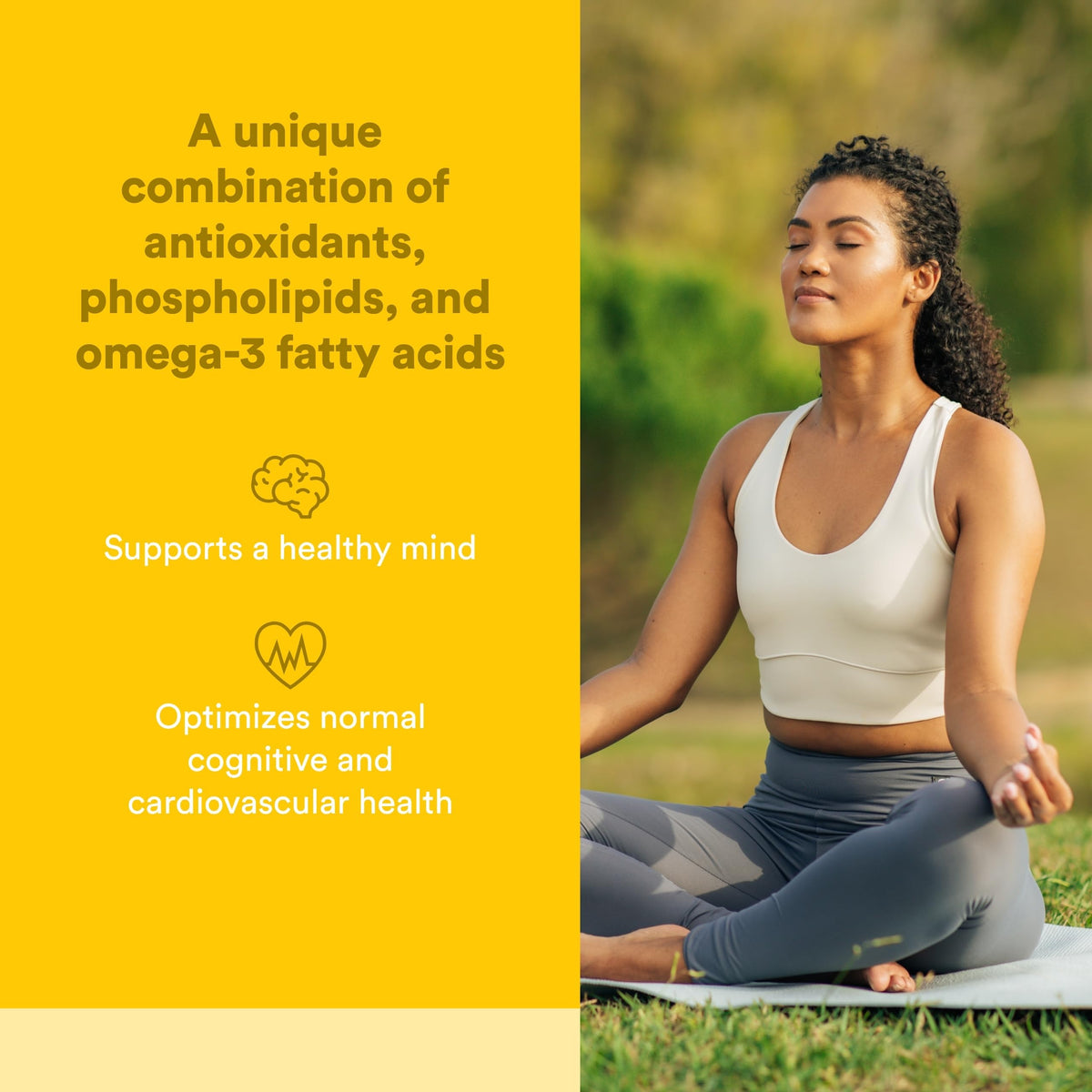 Natural Factors Higher Thoughts - Supports Cognitive & Cardiovascular Health* - Fish Oil, Fatty Acids, EPA, DHA & More - 90 Softgels Natural Factors