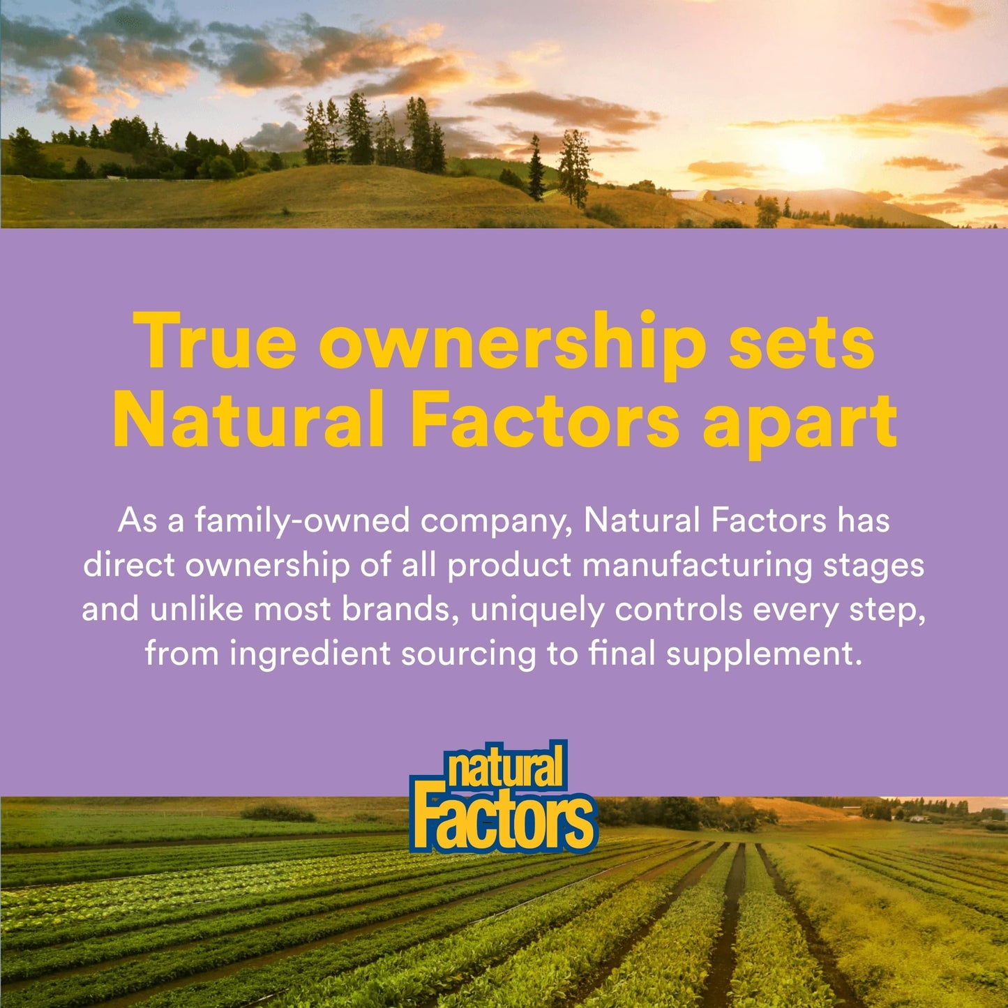Natural Factors Pharma GABA - Dietary Supplement Supports Calm Sleep & Sleep Quality - Natural, Fast-Working Supplement Aids Focus & Brain Health - 120 Chewable Tablets (60 Servings) Natural Factors