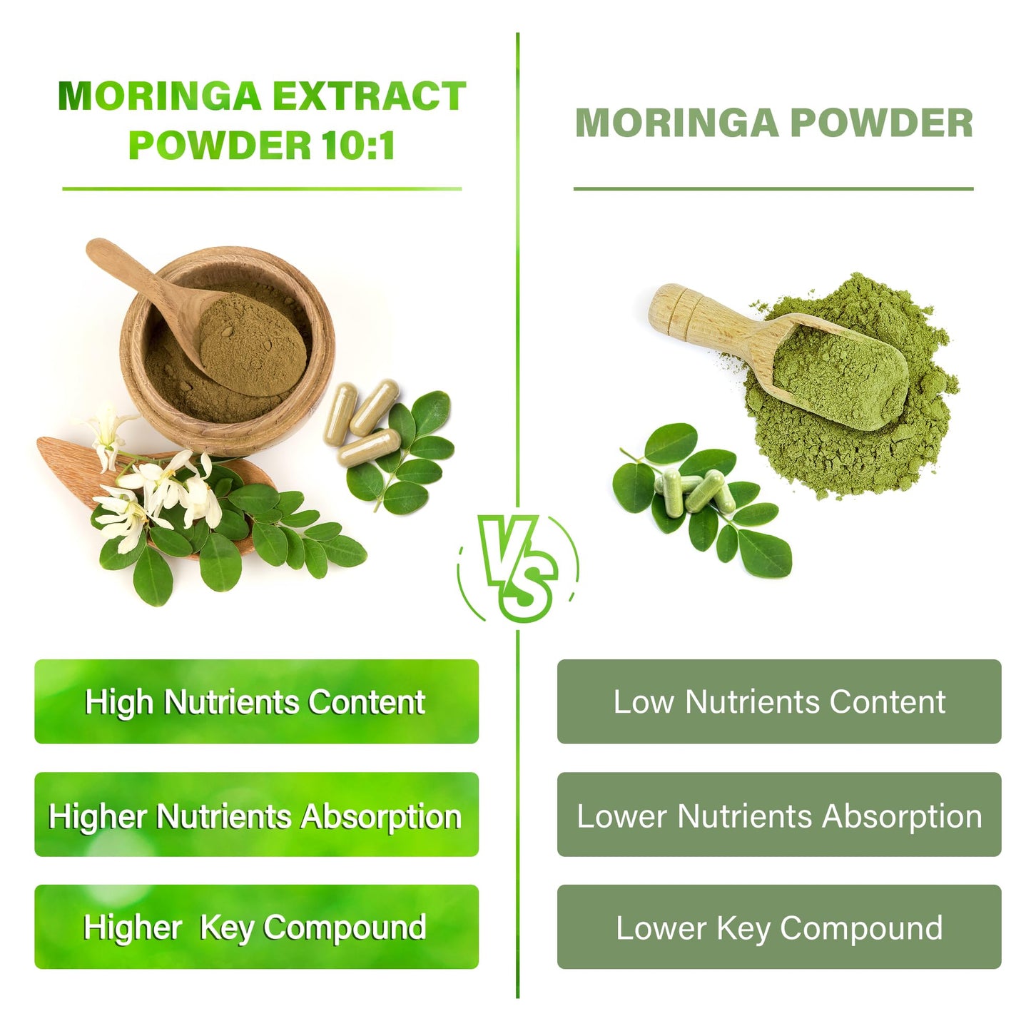 Moringa Capsules| Moringa Oleifera |10,000mg| 300 Capsules| 100% Pure| Non-GMO FitVitality