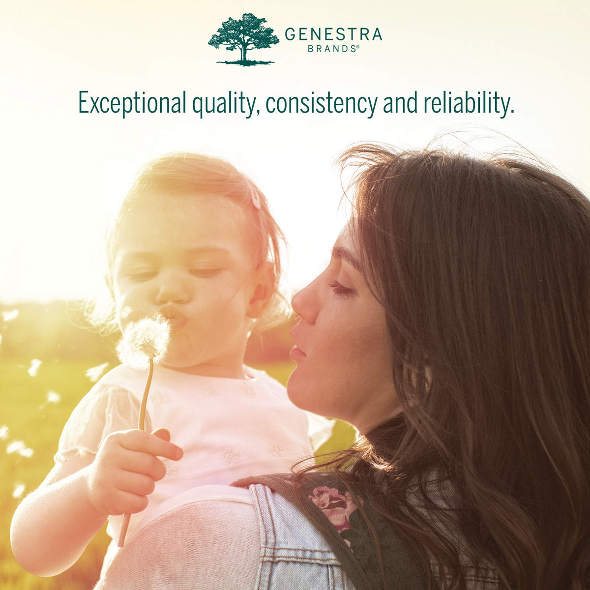 Genestra Brands HMF Super Powder | Probiotic Formula to Support Healthy Gut Flora | 4.9 Oz Genestra Brands
