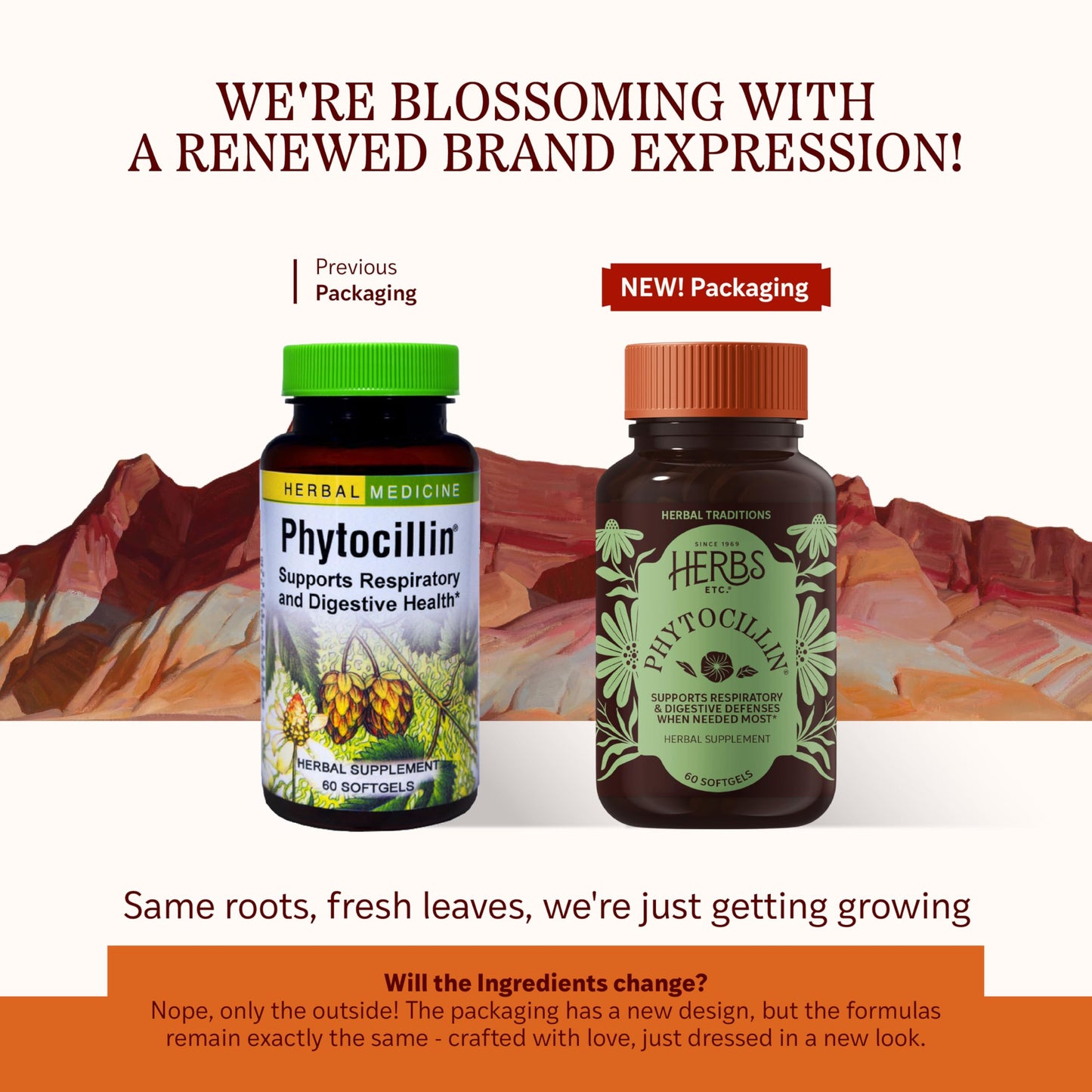 Herbs Etc. Phytocillin - Respiratory & Digestive Health Support Supplement - Herbal Formula to Support Digestion - Support Healthy Breathing - 60 Softgels (60 Servings) Herbs Etc.
