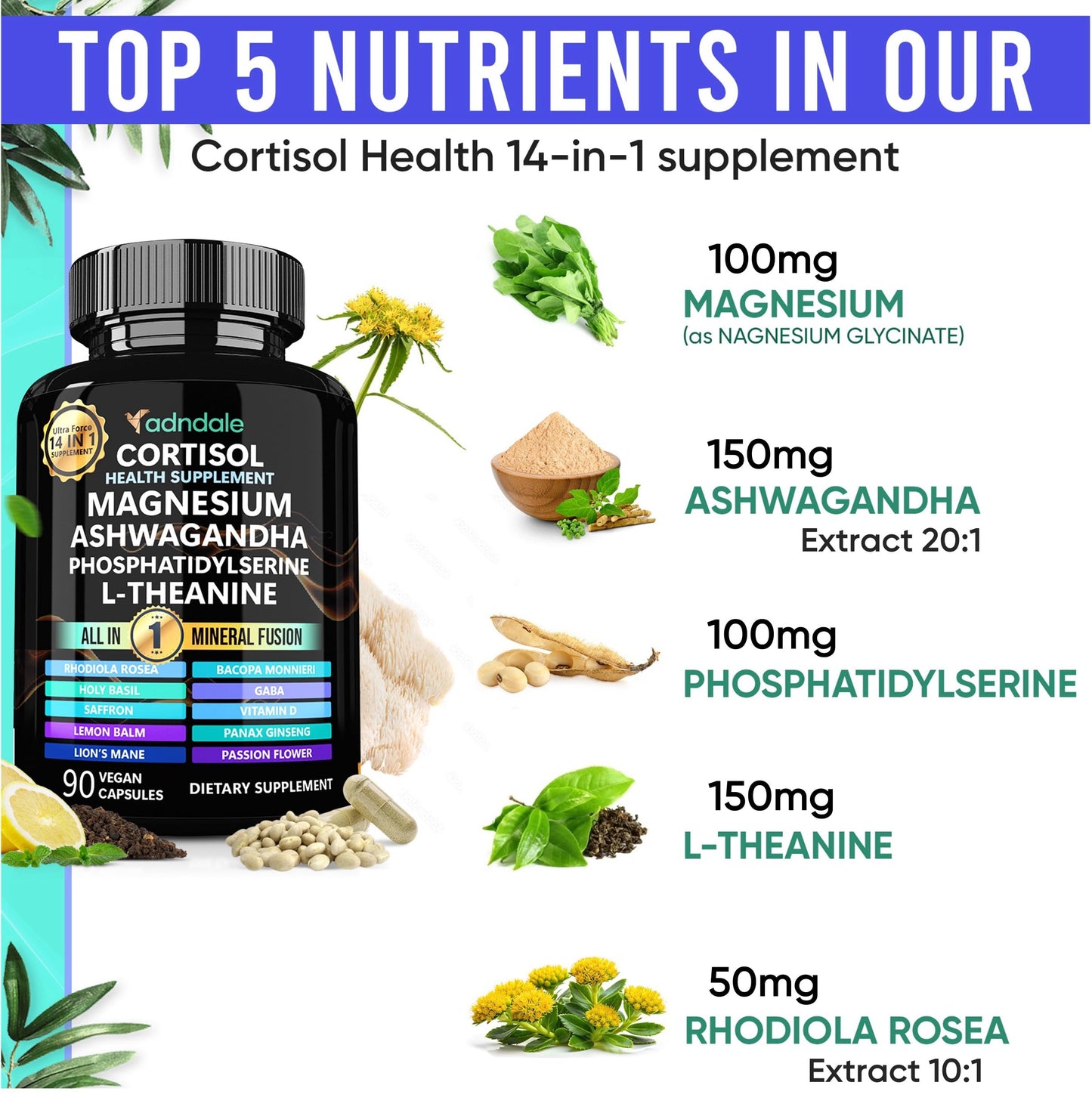 Adndale Cortisol Supplements for Women. Cortisol Reducer 14-in-1 Ashwagandha Supplement with Magnesium Glycinate, L-Theanine & More. 90 Capsules. Adndale