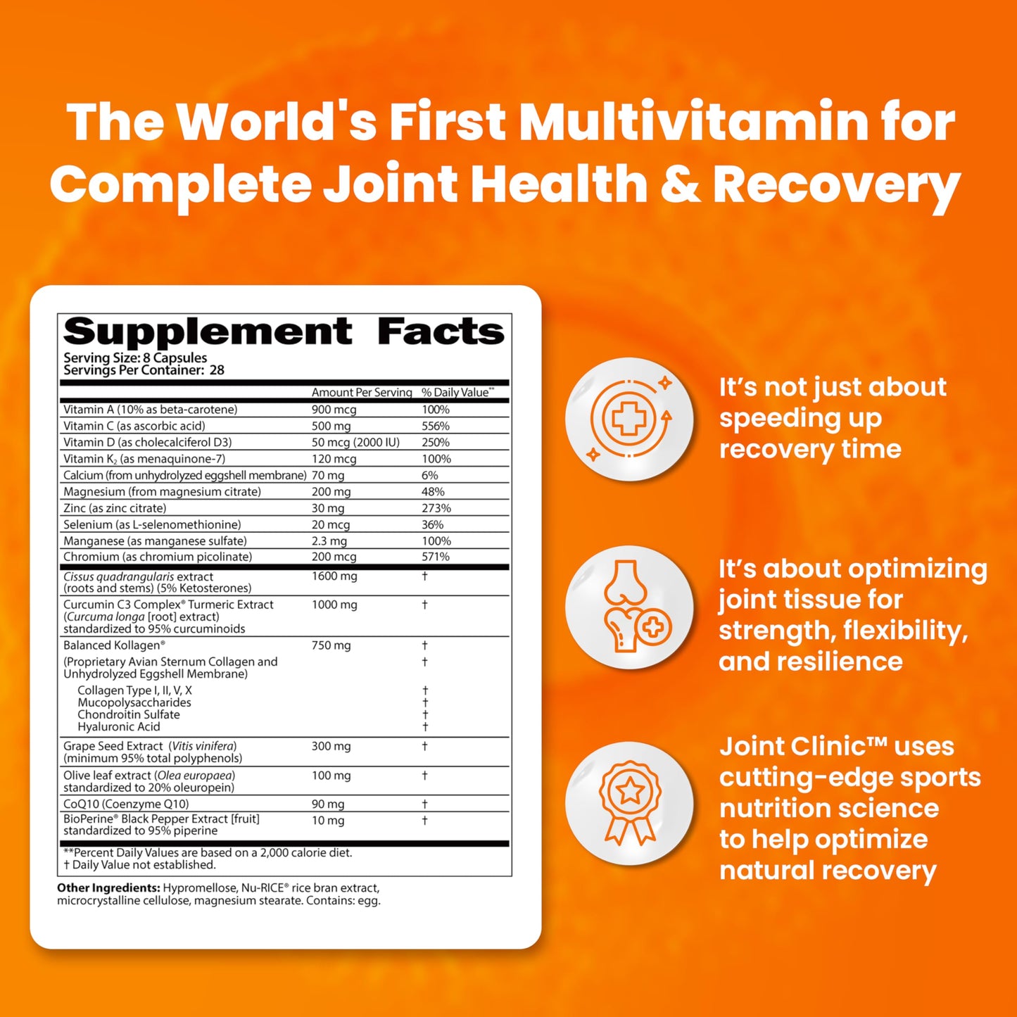 SaltWrap Joint Clinic - Multivitamin for Joint Health and Recovery - with Type II Collagen, C3 Turmeric, Cissus, and Hyaluronic Acid - 224 Capsules SaltWrap