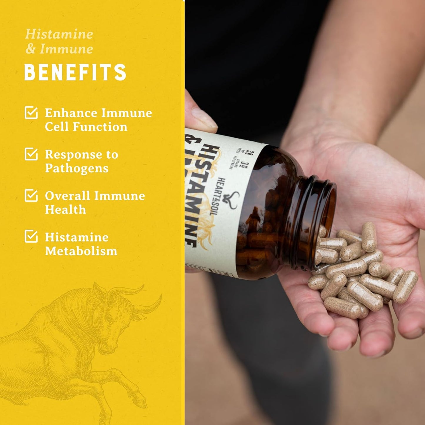 HEART & SOIL – 100% Grass Fed & Finished Histamine & Immune Support Supplement from Regenerative Cattle with Thymus, Lung, Spleen, Liver, & Kidney – Immune Defense – Glass Bottle – 180 Capsules Gsupps Australia