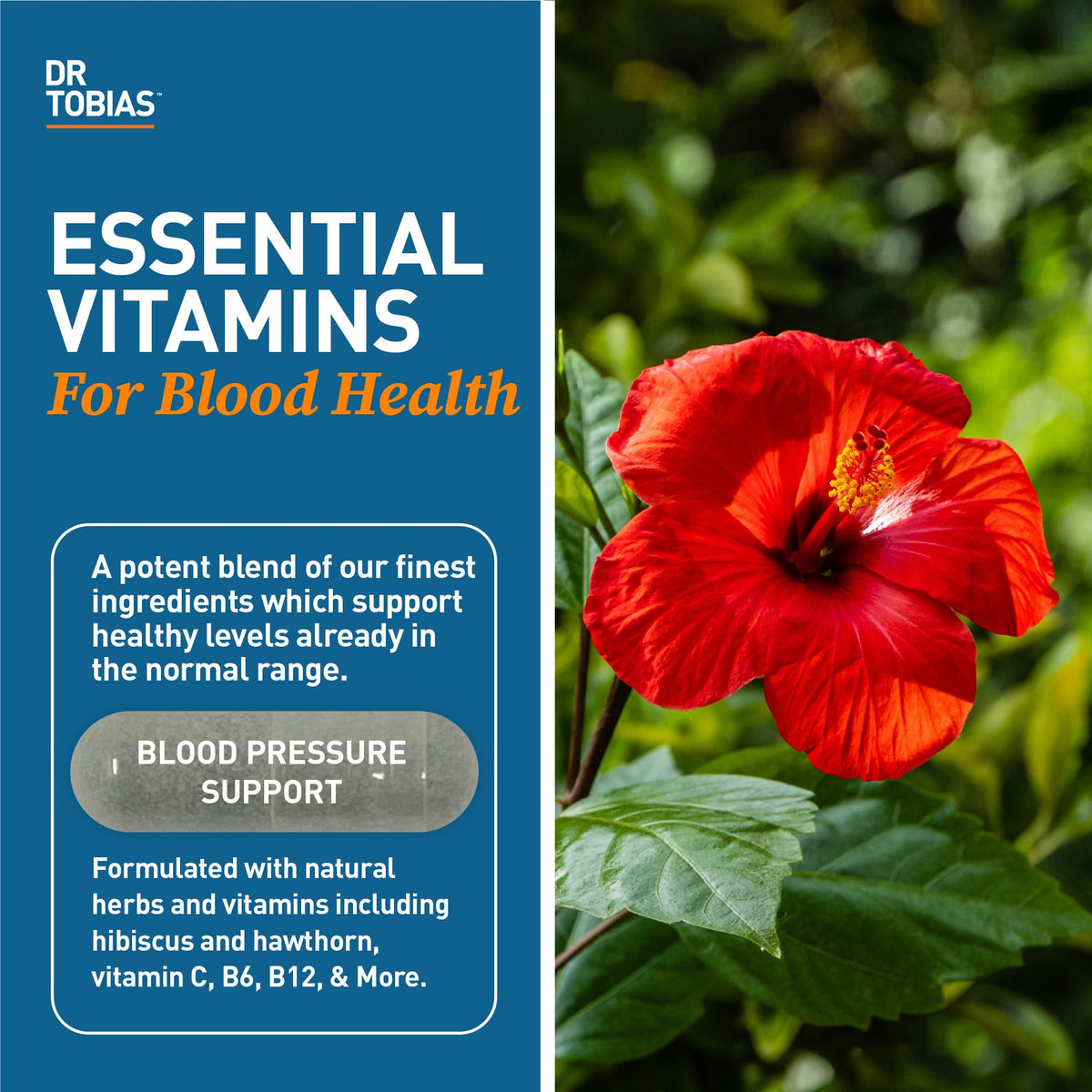 Dr. Tobias Blood Pressure Support Supplement with Hawthorn, Hibiscus Flower, Olive Leaf & Garlic, Supports Normal Circulatory Health with Vitamins C, B6, B12, Niacin, Folate & Herbs, 90 Capsules Dr. Tobias