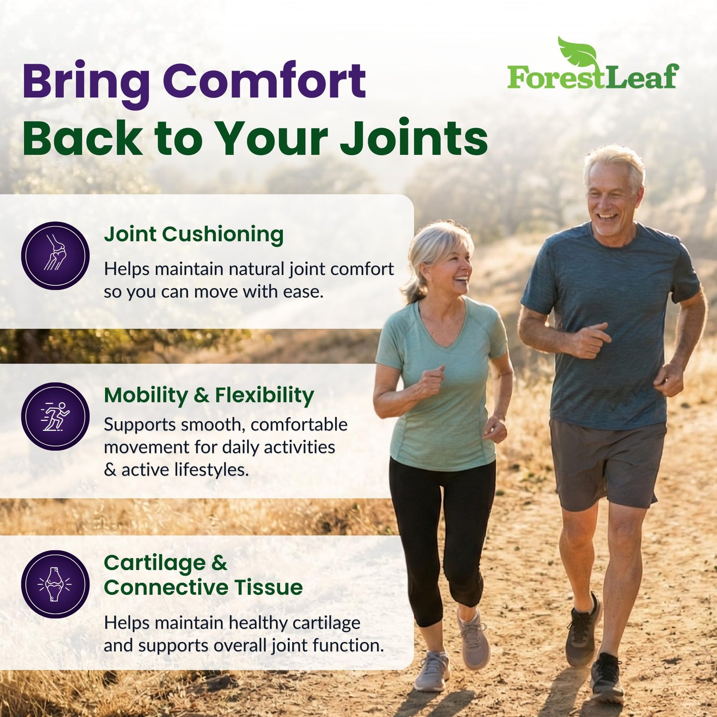 ForestLeaf Glucosamine Chondroitin MSM Joint Supplement Complex - 1200mg - 120 Caps ForestLeaf
