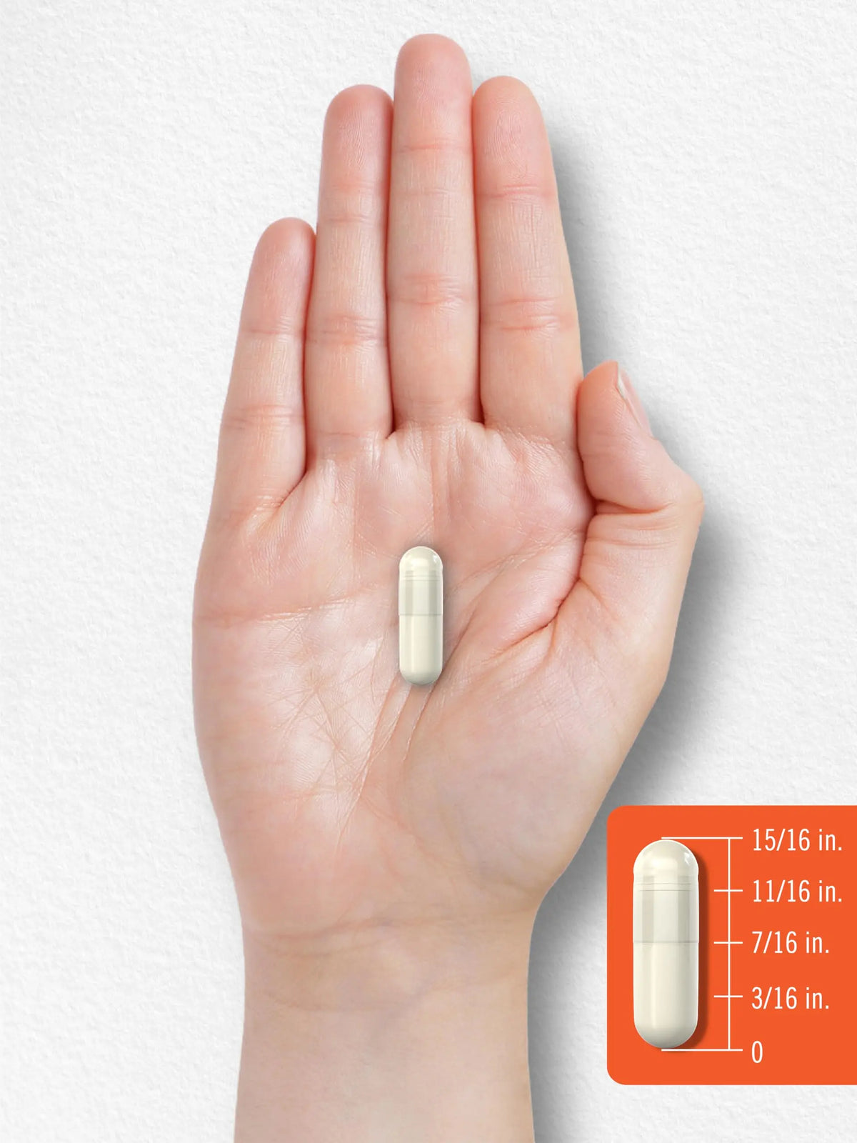 Carlyle Probiotic with Prebiotics & Postbiotics | 25 Billion CFU | 60 Capsules | Supplement for Women & Men | Powder Pills Carlyle