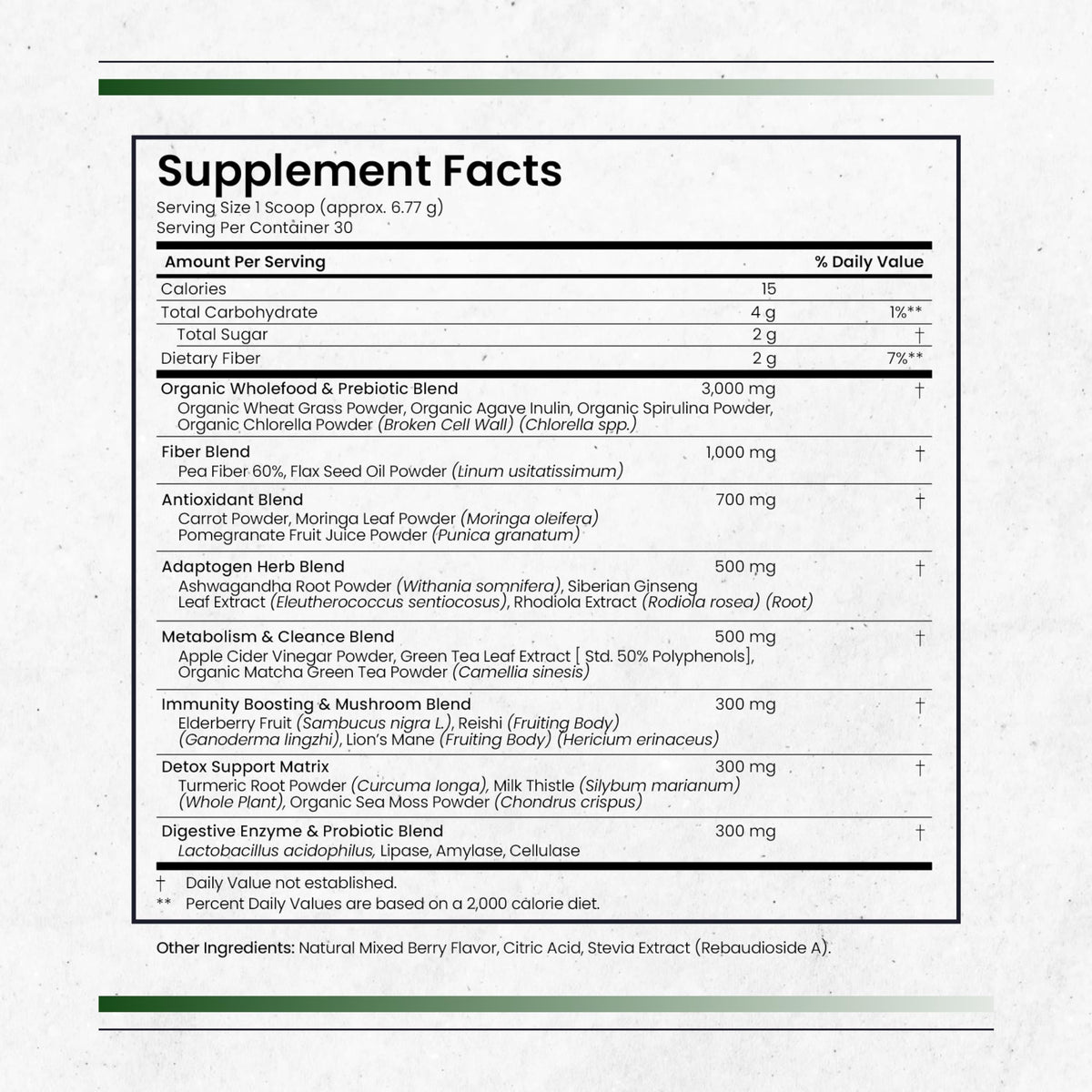 Nature's Pure Blend Super Greens Powder – Organic Greens Superfood Powder Supplements for Green Juice & Smoothie – Probiotic - Drink Mix for Energy Wellness and Digestion (Matcha Flavor, 30 Servings) Nature's Pure Blend