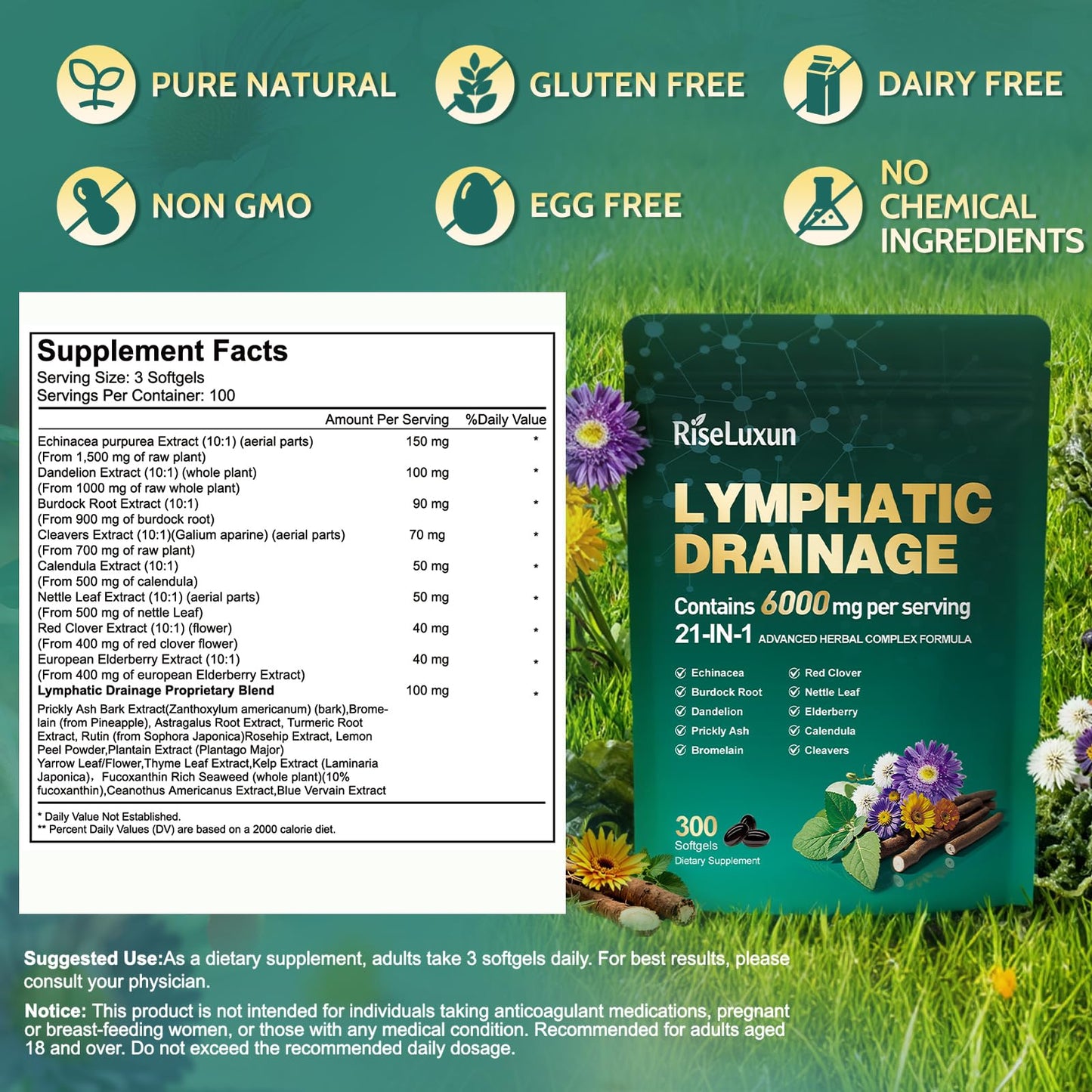 21-in-1 Liposomal Lymphatic Drainage Supplements, 100 Day Supply, 6000mg Lymph System Support for Women & Men with Echinacea, Dandelion, Burdock, Bromelain, Calendula, Turmeric & More, 300 Softgels RiseLuxun