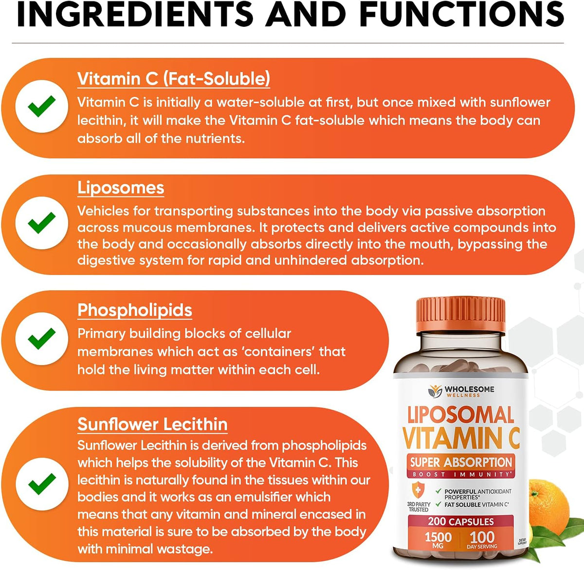 Wholesome Wellness Digestive Enzymes 1000MG Plus Prebiotics & Probiotics + Liposomal Vitamin C Capsules (200 Pills 1500mg Buffered) Bundle Gsupps Australia