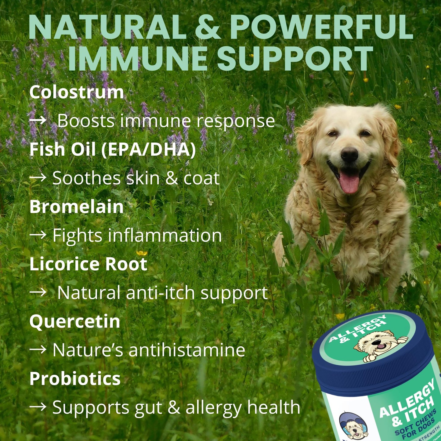 Under the Weather Allergy & Itch Pet Allergy Chews for Dogs | Vet Formulated Skin Support for Canines | Soothing Dog Allergies and Itching Relief Supplement | 60 Count Under the Weather
