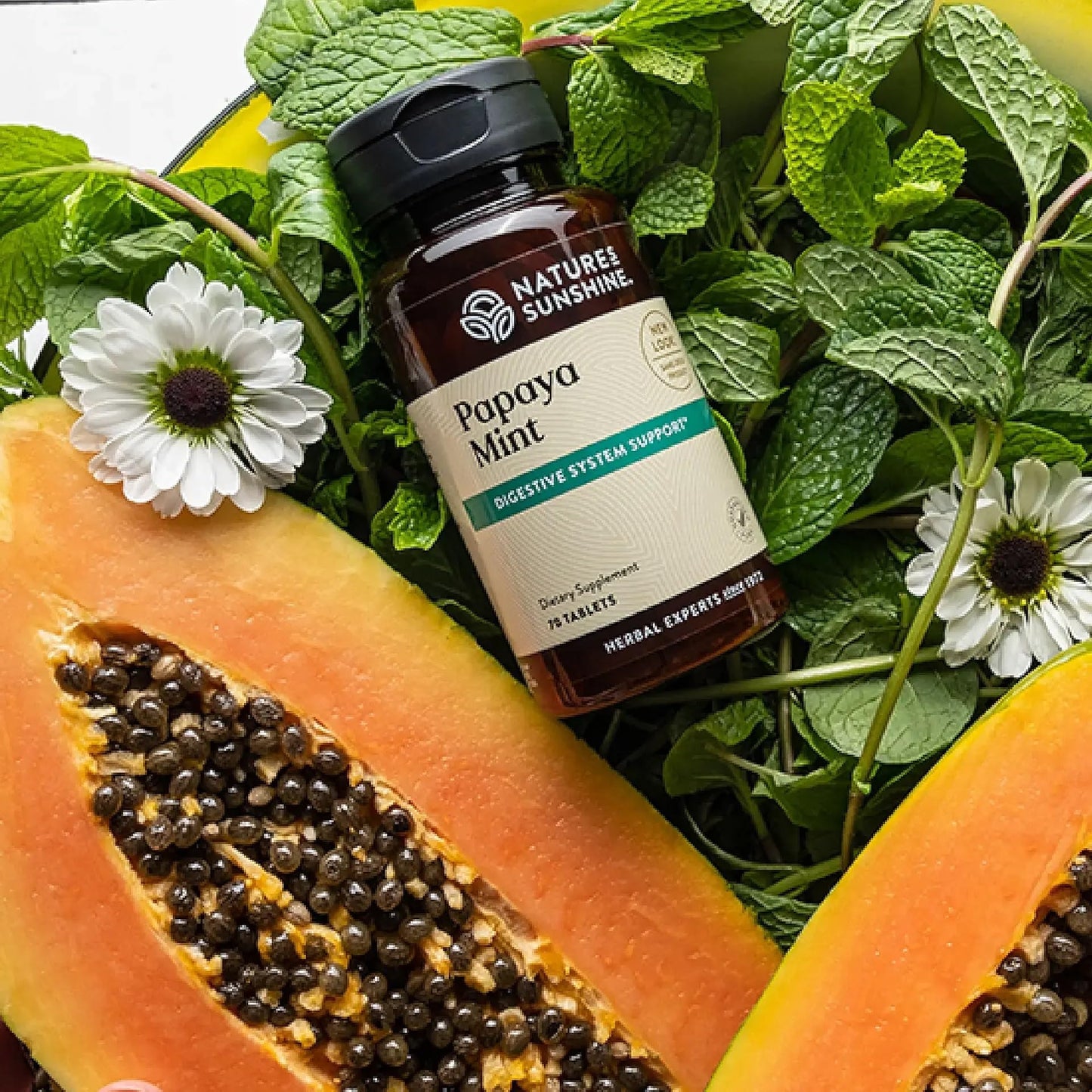 Papaya & Peppermint by Nature's Sunshine Nature's Sunshine