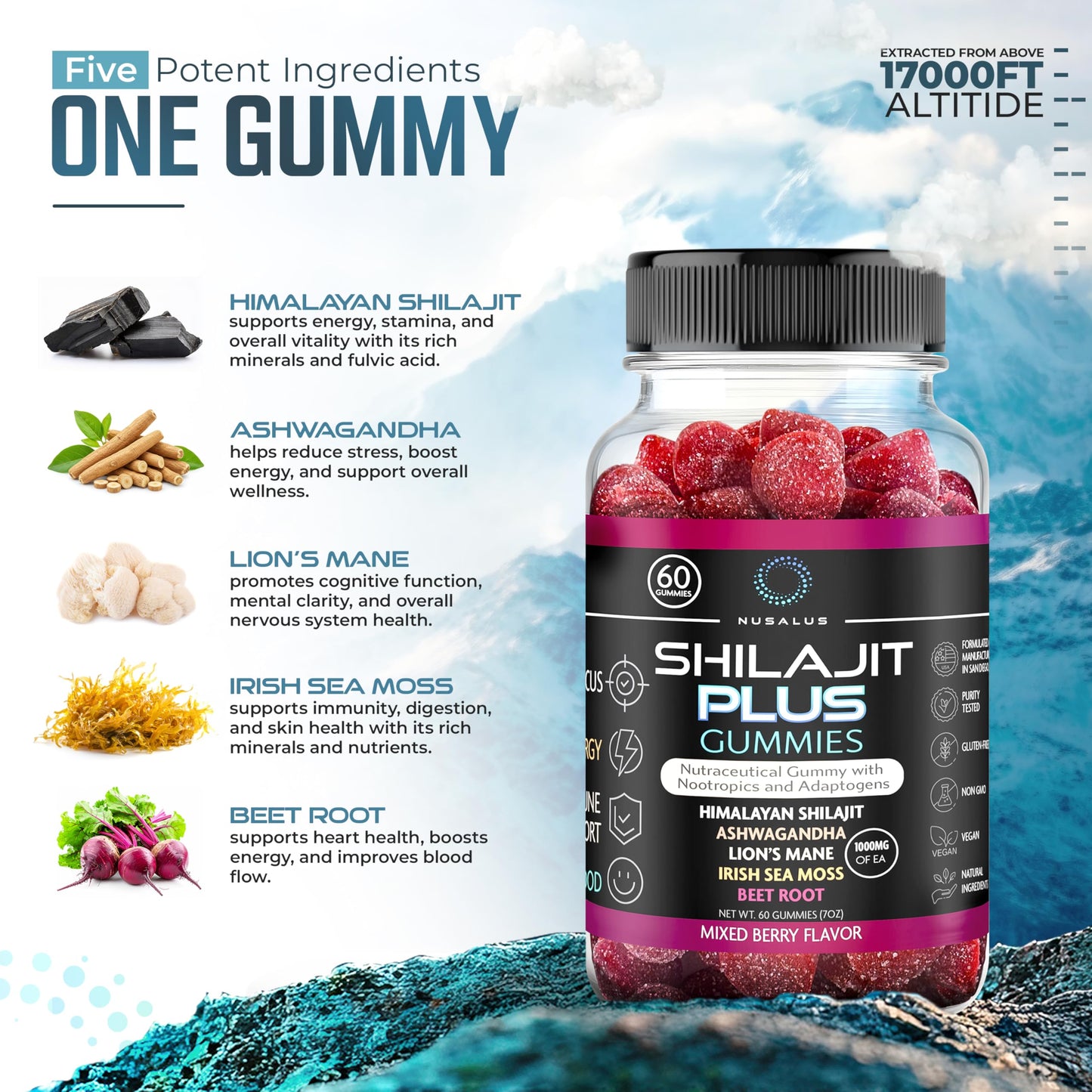 Nusalus Shilajit Plus Gummies – 5-in-1 Adaptogen Energy & Focus Supplement | Shilajit, Ashwagandha, Lion’s Mane, Sea Moss & Beet Root | Natural Energy & Stress Support | Made in USA, Vegan, 60ct Nusalus