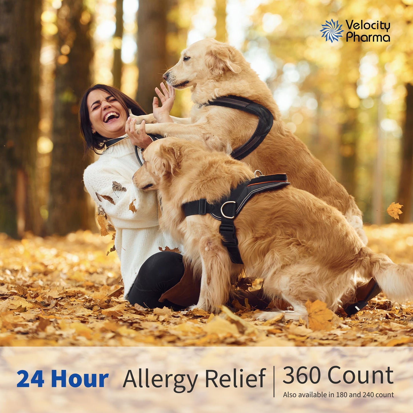 Velocity Pharma Levocetirizine Dihydrochloride 5mg USP Tablets, 24 Hour Allergy Relief Non-Drowsy Antihistamine, 360 Count Velocity Pharma