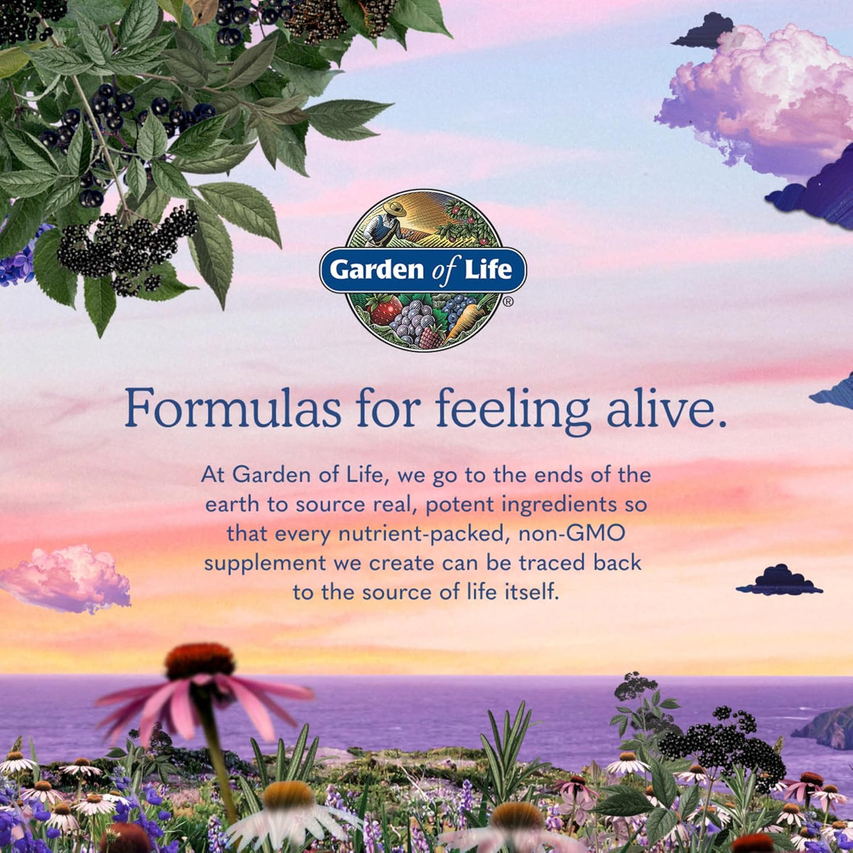 Garden Of Life, Organic Women's 40 Plus Multivitamin, 120 Count Gsupps Australia