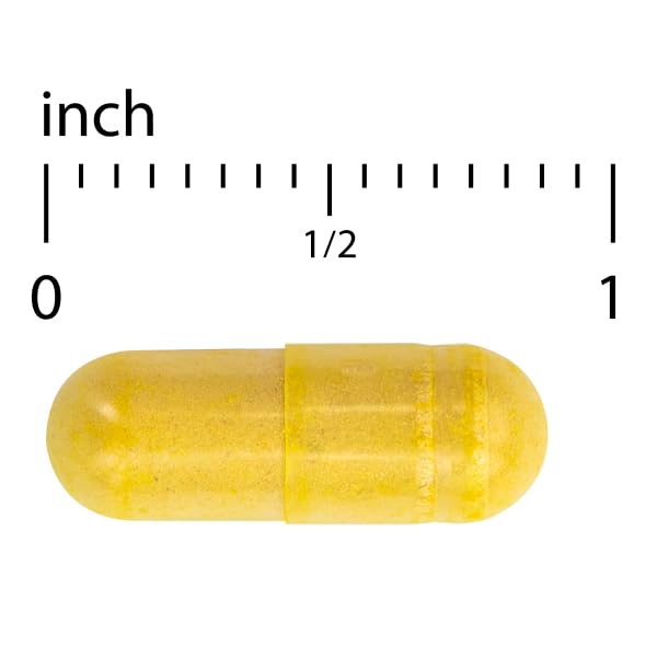 Terry Naturally Arthocin - Boswellia Serrata Capsules with Devil's Claw & Curcumin - Supplement to Support Joint & Spine Health - Herbal Supplement Aids Comfort & Absorption - 60 Capsules Terry Naturally buy australia supplements