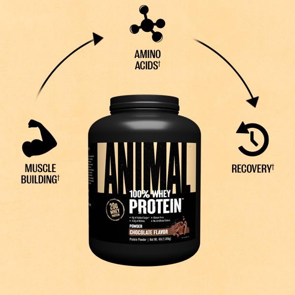 Animal 100% Whey Protein Powder – Whey Blend for Pre- or Post-Workout, Recovery Animal buy australia supplements
