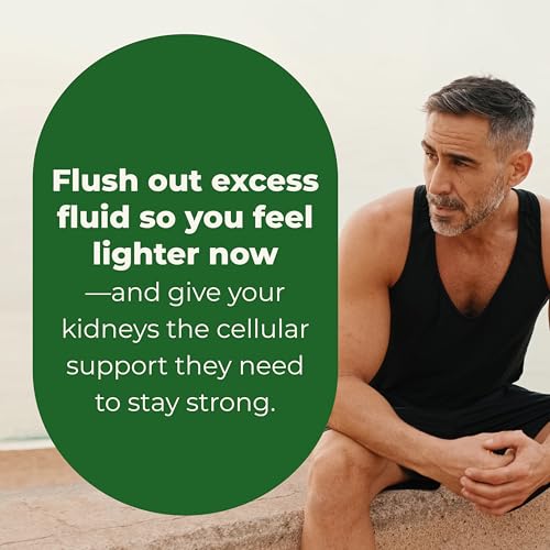 LifeSeasons Kidney Support Supplement – Cellular Protection with NAC, Alpha Lipoic Acid, Resveratrol, Burdock Root & Vitamin D3 – Supports Detox, Oxidative Stress & Renal Function – 120 Capsules LifeSeasons buy australia supplements