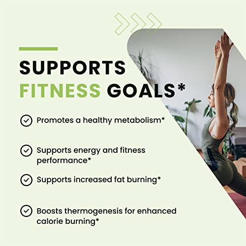 Green Tea Weight Loss Pills with Green Coffee Bean Extract | Belly Fat Burner, Metabolism Nobi Nutrition buy australia supplements