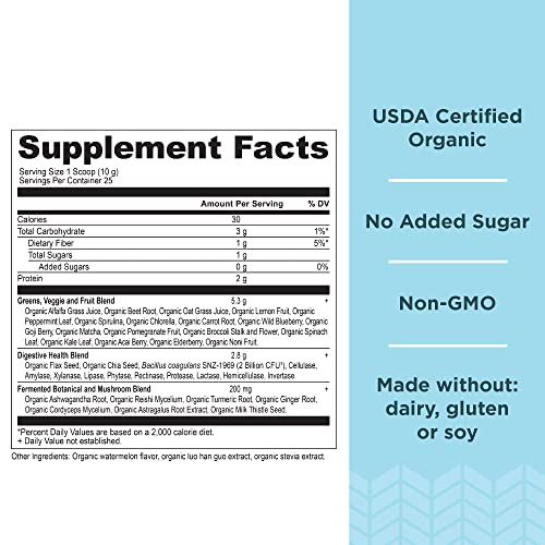 Ancient Nutrition Organic Watermelon Supergreens, 8.82 OZ Ancient Nutrition buy australia supplements