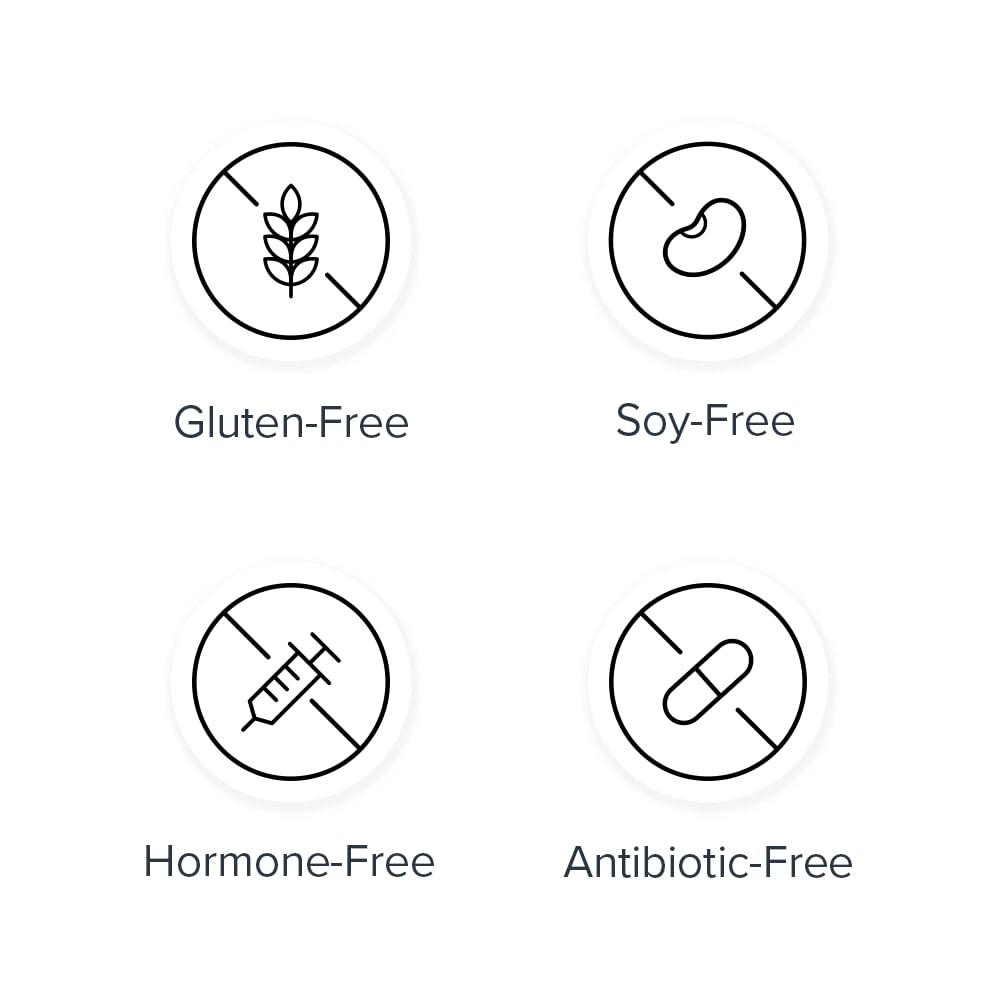 Legion Chocolate Chip Cookie Dough Protein Bar - 100% Whey Protein Bars Low Sugar High Protein with Prebiotic Fiber - Soy-Free, Gluten Free, Naturally Flavored, Low Fat, High Protein Bars (12 Count)