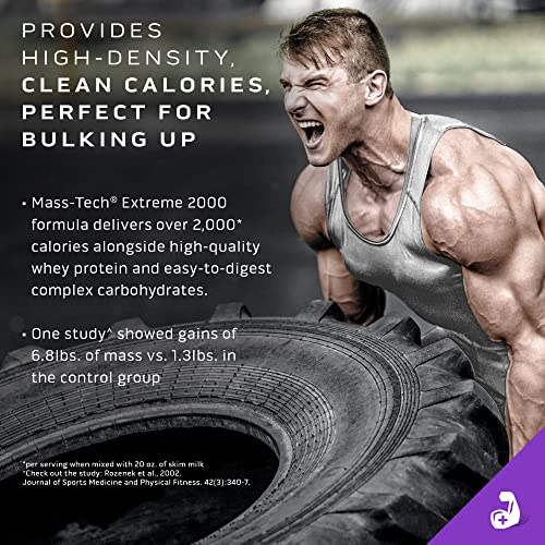 MuscleTech Mass Gainer Protein Powder, Mass-Tech Extreme 2000, Muscle Builder MuscleTech buy australia supplements