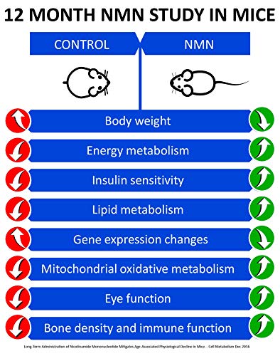 MAAC10 NMN Supplement Real Nicotinamide Mononucleotide (NMN 125mg Capsules). The Most Powerful NAD+ Precursor More Stable Than Riboside. We use 99% Pure Pharmaceutical Grade Stabilized NMN (30 Count) MAAC10 buy australia supplements