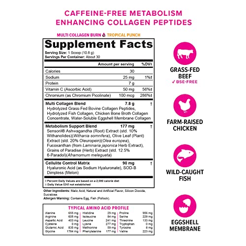 Hydrolyzed Collagen Peptides Powder for Women - Slimming Multi Collagen Burn Ultimate Vitauthority buy australia supplements