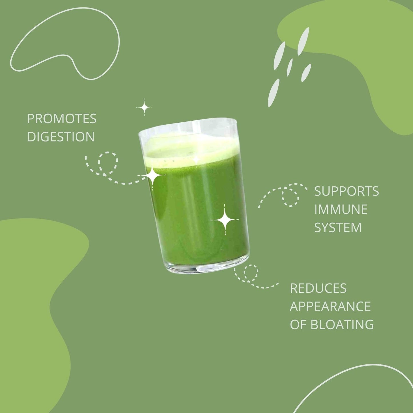 Consult Health Gut-Duction Bloat Control – Gut Health Support Superfood Formula – Plant Based Proteins - Probiotics – Powder Drink Mix – 28 Servings – 9.9 oz. Consult Health
