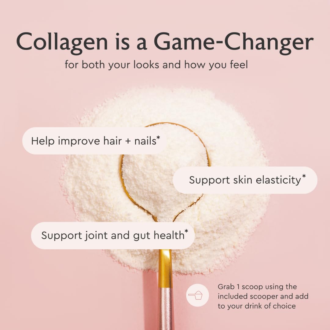 Alaya Multi Collagen Powder - Type I, II, III, V, X Hydrolyzed Collagen Peptides Protein Powder Supplement with MSM Alaya Naturals