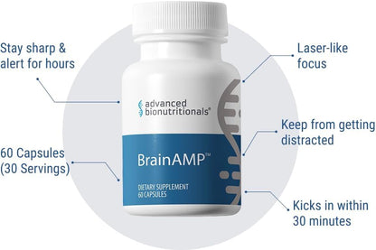 BrainAMP™ Nootropic Energy for Focus, Memory & Clarity | Clean Alertness with Paraxanthine (No Jitters) | Supports Productivity with Alpha-GPC, Tyrosine, CognatIQ, Lutein & Salidroside | 60 Caps
