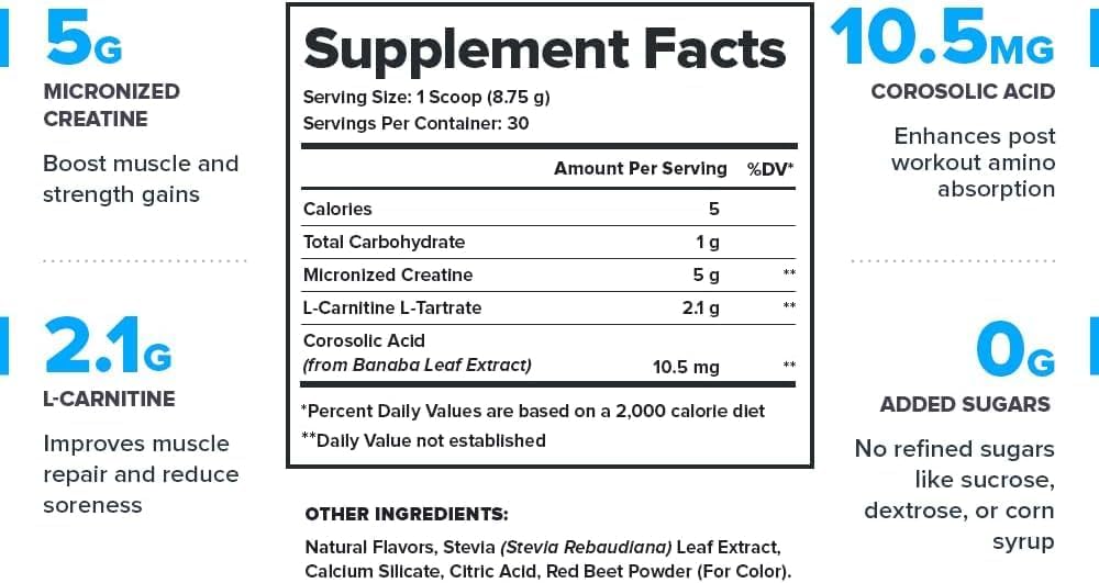 LEGION Post Workout Recovery Stack – Recharge Creatine Post Workout Drink (Strawberry Lemonade) + Whey Protein Powder (Vanilla) – Muscle Growth, Strength & Recovery Support – 30 Servings Each