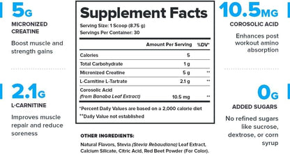 LEGION Post Workout Recovery Stack – Recharge Creatine Post Workout Drink (Strawberry Lemonade) + Whey Protein Powder (Vanilla) – Muscle Growth, Strength & Recovery Support – 30 Servings Each