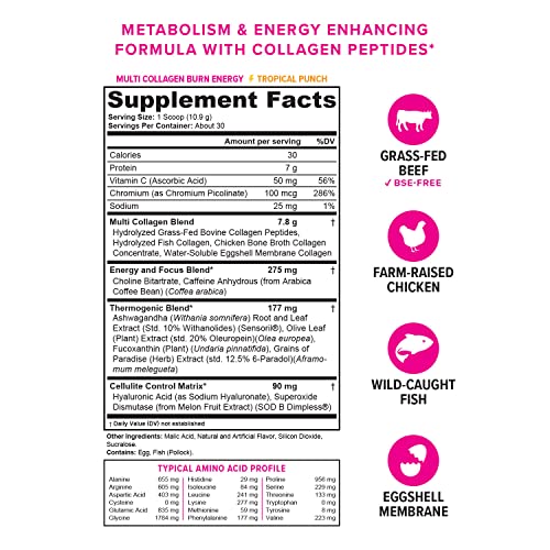 Multi Collagen Burn: Multi-Type Hydrolyzed Protein Peptides with Hyaluronic Acid, Vitamin Vitauthority buy australia supplements