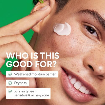 innisfree Green Tea Seed Hyaluronic Acid Cream, Korean Face Moisturizer with Ceramide & Skin Barrier Complex, Fragrance-Free & Non-Comedogenic innisfree