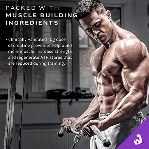 MuscleTech Mass Gainer Protein Powder, Mass-Tech Extreme 2000, Muscle Builder MuscleTech buy australia supplements