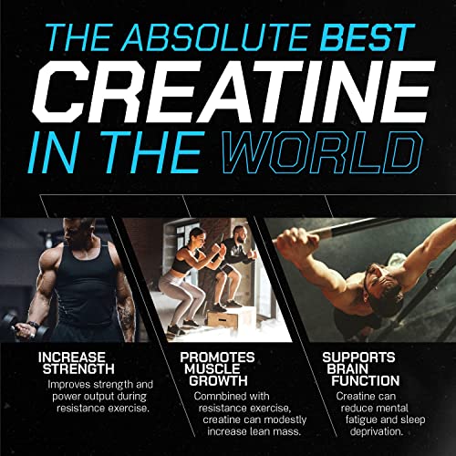 Muscle Feast Creapure Creatine Monohydrate Powder for Muscle Growth Nutritional Muscle Feast buy australia supplements