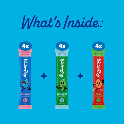 Waterboy Hydration Recovery Variety | 4-9x Electrolyte Powder Packets | Ginger + L-Theanine + L-Glutamine + Vitamins | No Sugar, All Natural, Gluten Free Waterboy