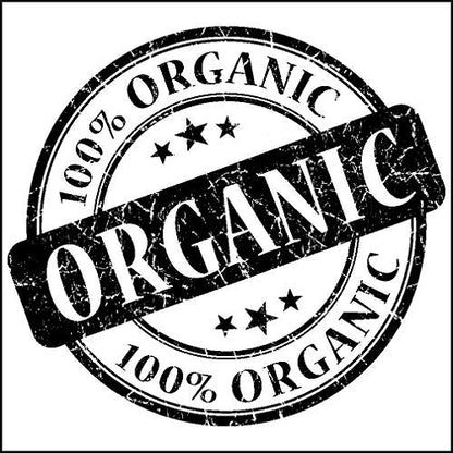 Canah Hemp Up Organic Protein Shake Powder – Muscle gain & Boost up Immune System, HEMP UP!Buy Supplements Australia