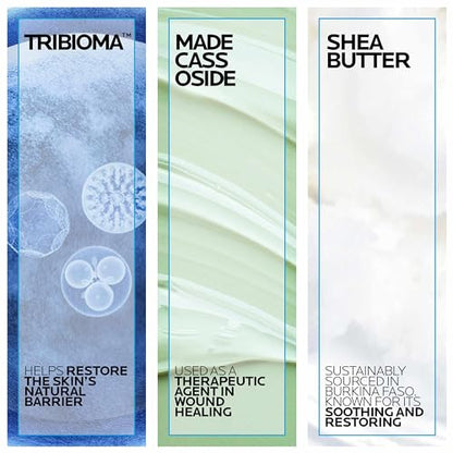 La Roche-Posay Cicaplast Balm B5 UV SPF 50, Vitamin B5 + Shea Butter + Tribioma + Madecassoside + Zinc Oxide Sunscreen La Roche-Posay