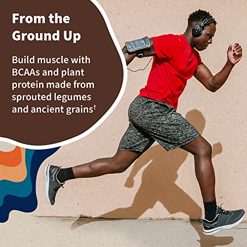 Garden of Life Vegan Protein Powder - 22g Raw Plant Protein, BCAAs, Probiotics Garden of Life buy australia supplements