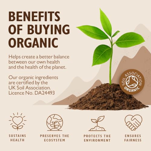 Sevenhills Wholefoods Organic Rice Protein Powder, Vegan, 2kg Sevenhills Wholefoods buy australia supplements