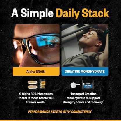 ONNIT Cognitive & Strength Performance Bundle: Alpha Brain Nootropic Capsules (30 Count) + Creatine Monohydrate Powder (30 Servings), IGEN Non-GMO Tested Focus, Strength & Lean Muscle – Pack of 2