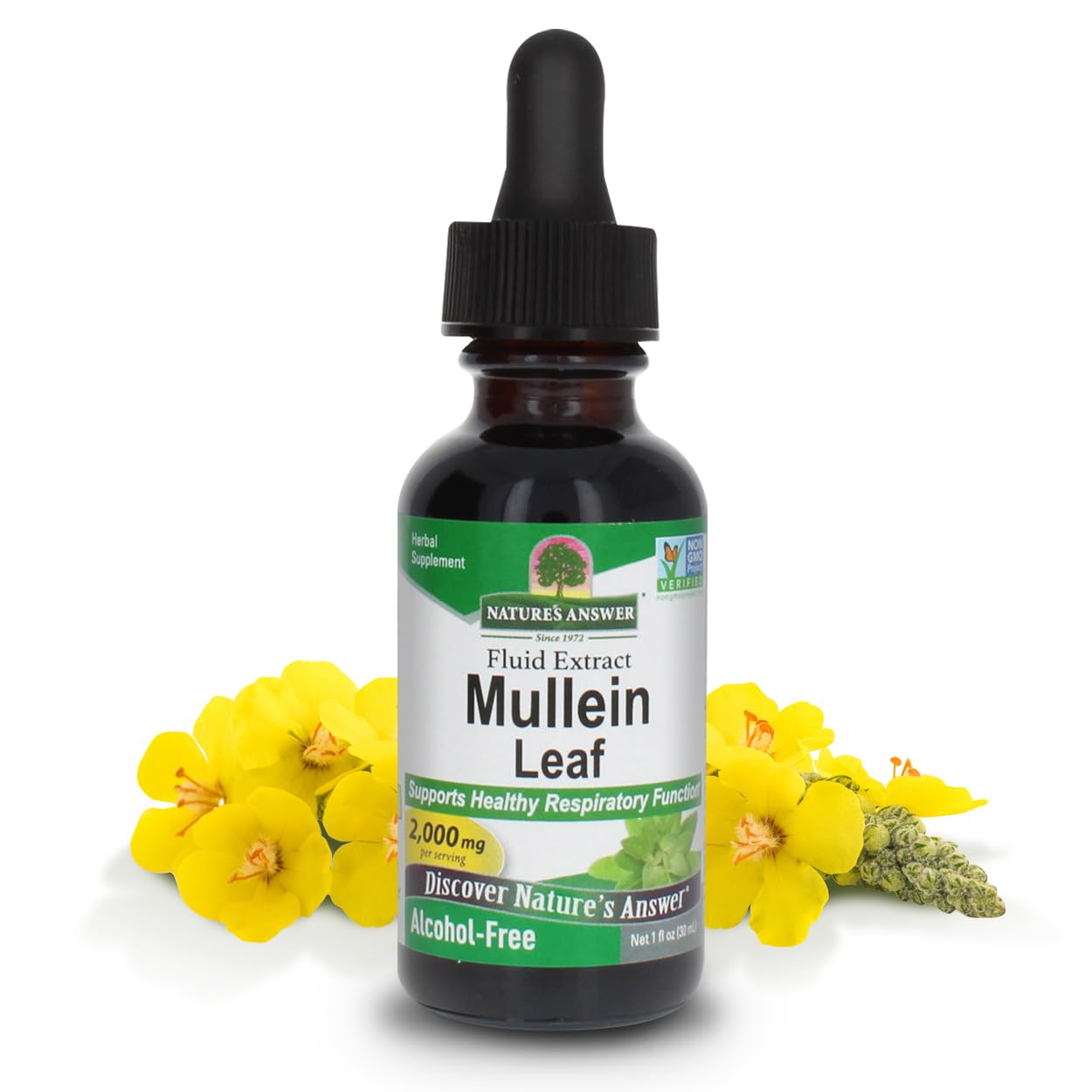 Nature's Answer Mullein Herb - Mullein Leaf Extract for Lungs - Alcohol Free, Non GMO, Made in USA - Supports Respiratory Function & Promotes Healthy Lungs Nature's Answer