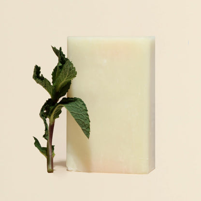 Dr. Natural Castile Bar Soap - Multipurpose Soap Bar with Anti-Acne Properties - for Face, Body, Hair - Sensitive Skin Body Wash - Peppermint - 2 pcs Dr. Natural