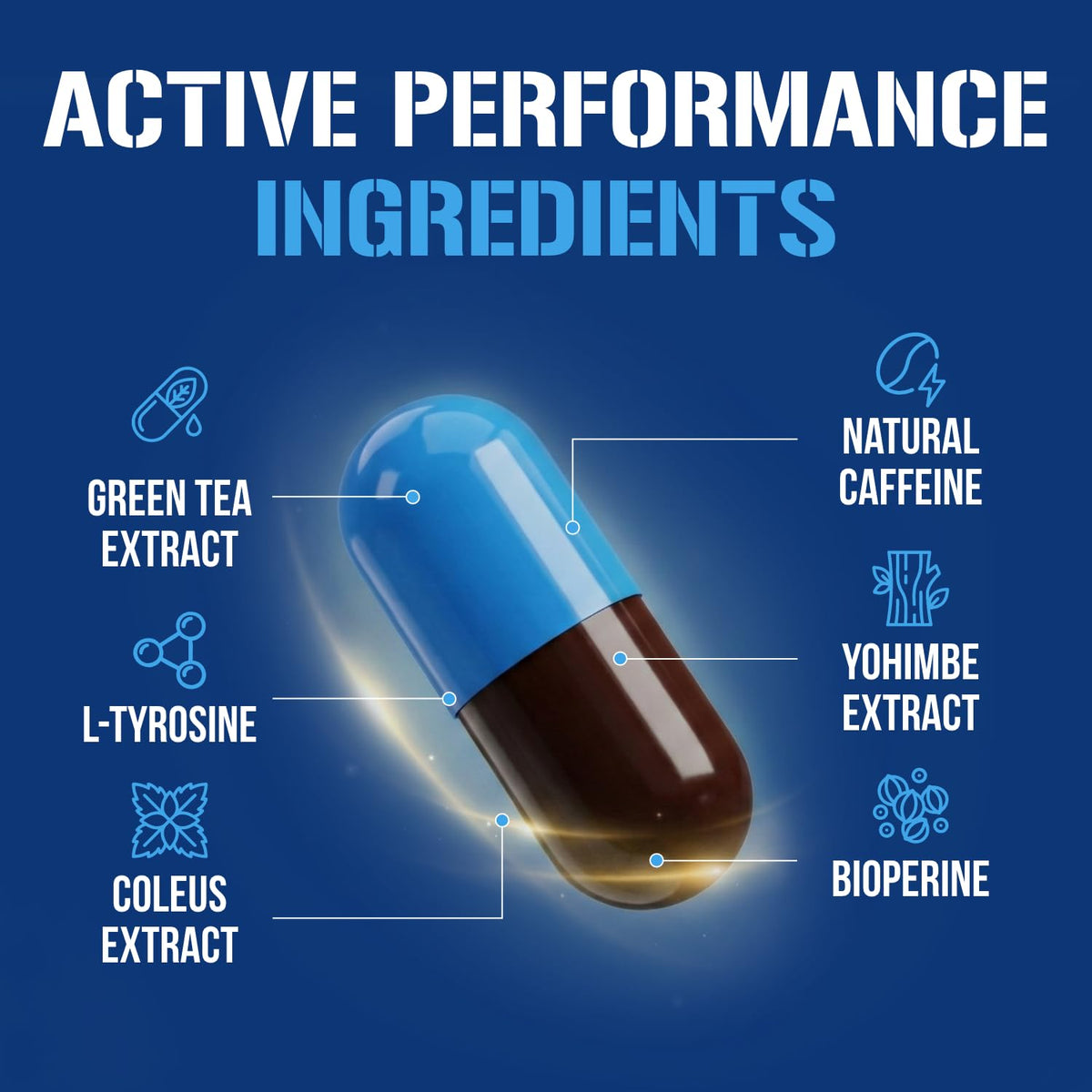 EVL Thermogenic Fat Burner Support - Fast Acting Weight Loss Energy and Appetite Support - Trans4orm Green Tea Supplement Evlution