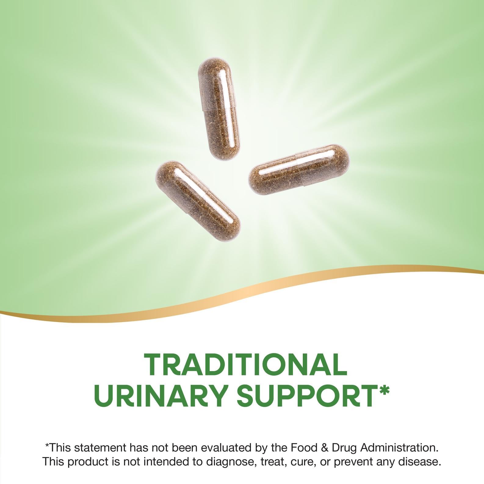 Nature's Way Uva Ursi Leaves, Traditional Urinary Support*, 1,110 mg per 3-Capsule Serving, Non-GMO Project Verified, Herbal Dietary Supplement, Gluten Free, 100 Vegan Capsules (Packaging May Vary) Nature's Way buy australia supplements