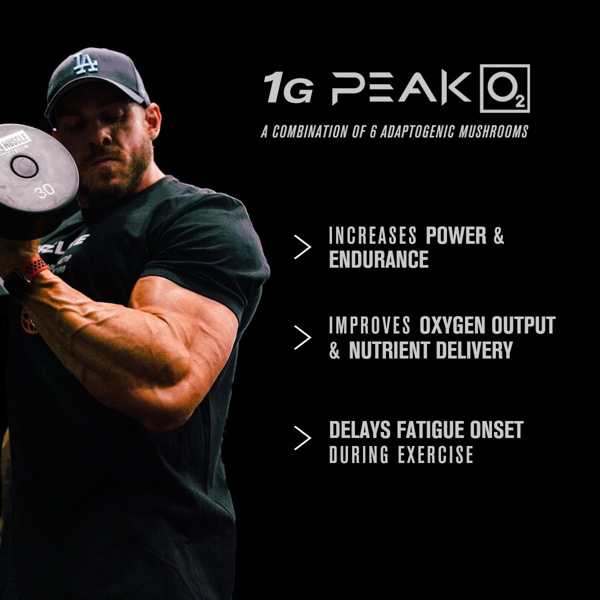 Jacked Factory Muscle Builder Supplement Stack - Build-XT Muscle Builder & N.O. XT Nitric Jacked Factory buy australia supplements