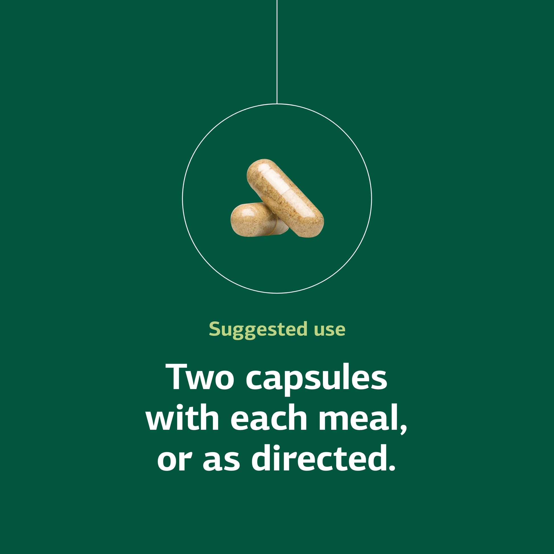 Standard Process Senaplex - Nervous System Support with Niacin, Vitamin B12 & B6 - Supports Brain Health & Cellular Health - Offers Antioxidant Activity - Non-Dairy - 90 Capsules (45 Servings) Standard Process Inc. buy australia supplements