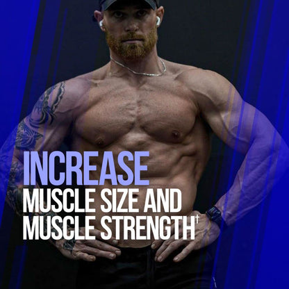 ALPHA LION Gains Candy, Pills that Support Weight Loss, Energy Supplements, 100% Natural Extract, Calorie Burning, Regulates Healthy Metabolism, 60 Capsules (Fat Loss - CaloriBurn®)